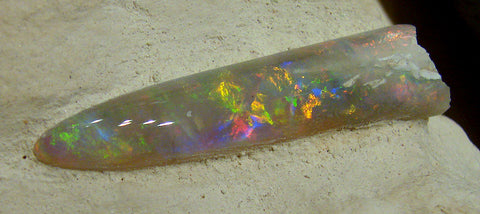 Belemnite Opal Fossil