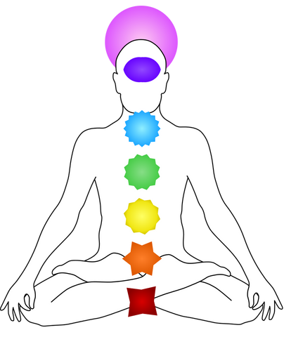 Seven chakras is as follows, from bottom to top: Muladhara, Svadhisthana, Nabhi-Manipura, Anahata, Vishuddhi, Ajna, Sahasrara. (Image courtesy of Wikimedia).