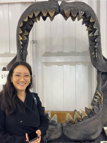 Megalodon Jaws with Lisa Kim