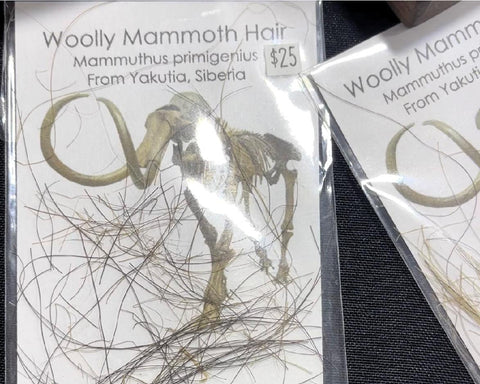 Wolly Mammoth Hair