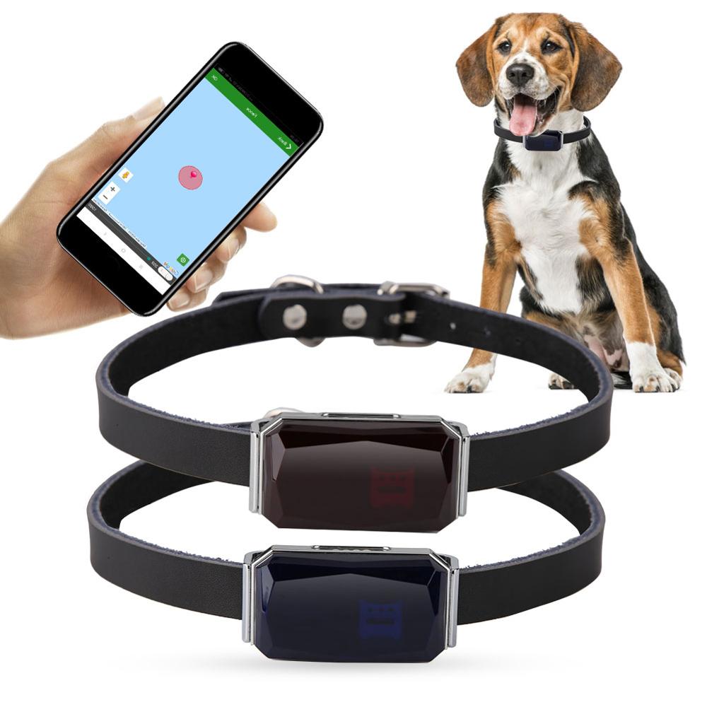 GPS Location Waterproof Dog Tracker Collar – Prime Stash