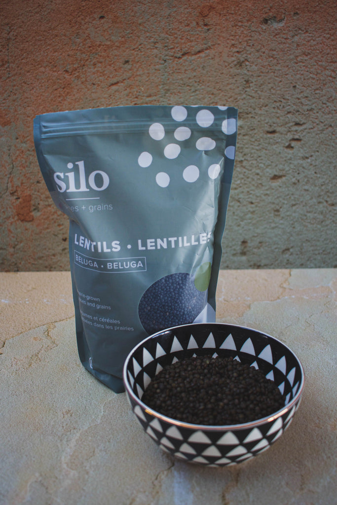 Silo Pulses and Grains Beluga Lentils