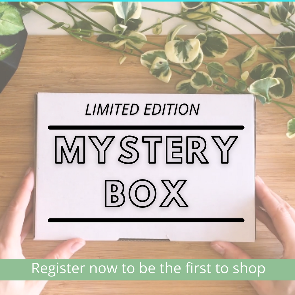 Mystery Box Australian Jewellery