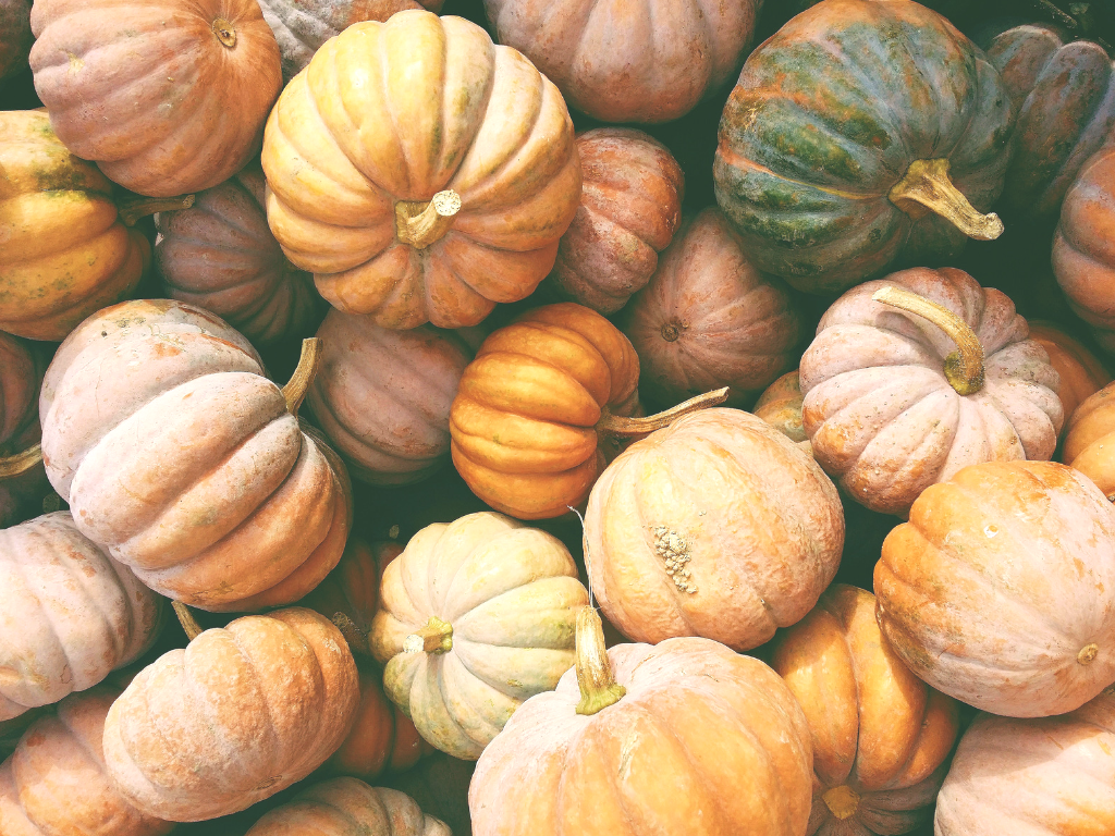 Zerowaste pumpkin halloween