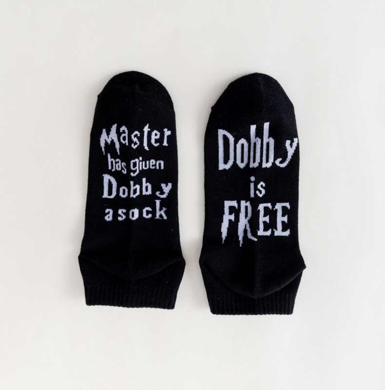 master gave dobby a sock