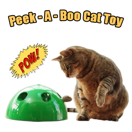 peekaboo cat toy