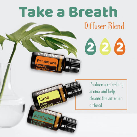 Take a Breath Diffuser Blend