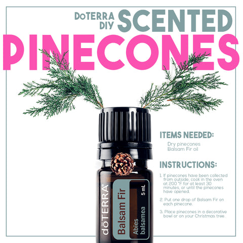 How to use doTERRA Balsam Fir Essential Oil