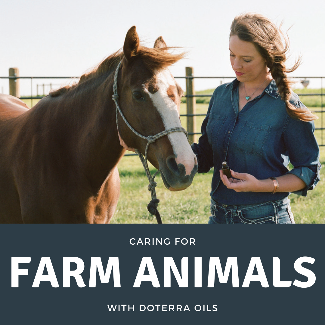 Caring for farm animals with doTERRA oils