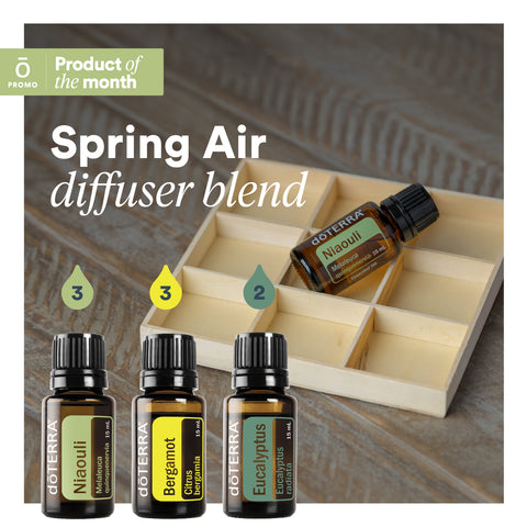 Niaouli Diffuser Blend