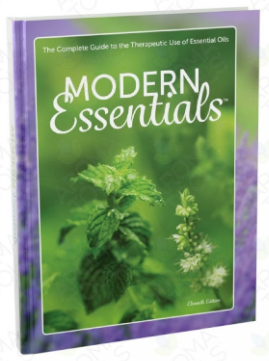 Modern Essentials Guide