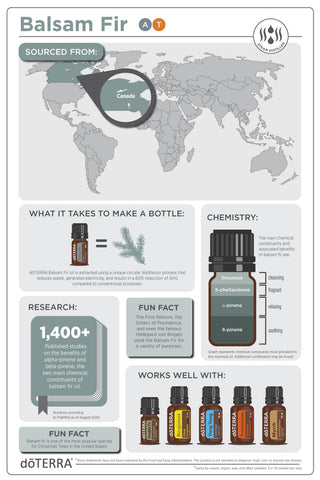 How to use doTERRA Balsam Fir Essential Oil Infographic