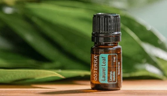 doTERRA Laurel Leaf Oil