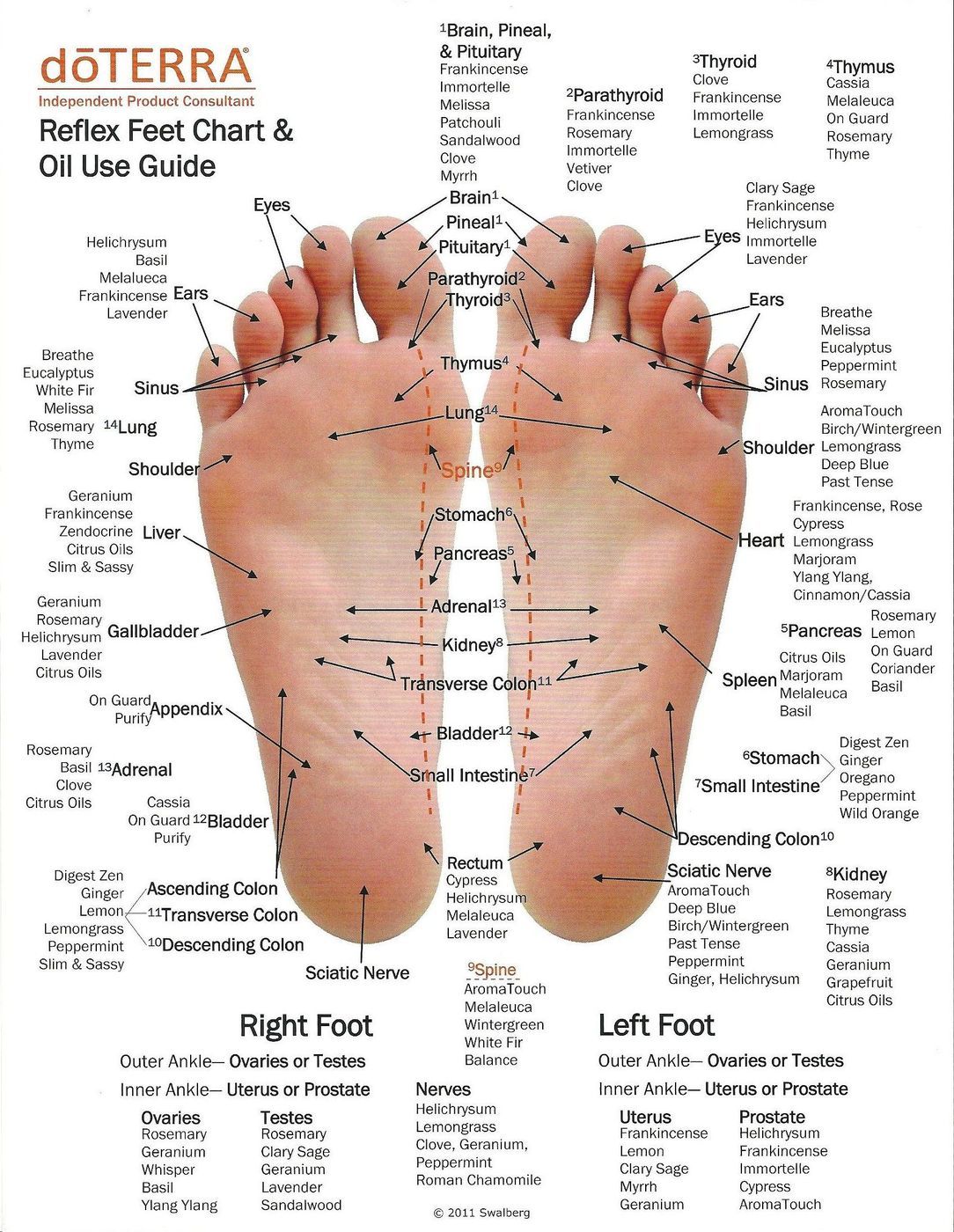 Foot reflexology chart