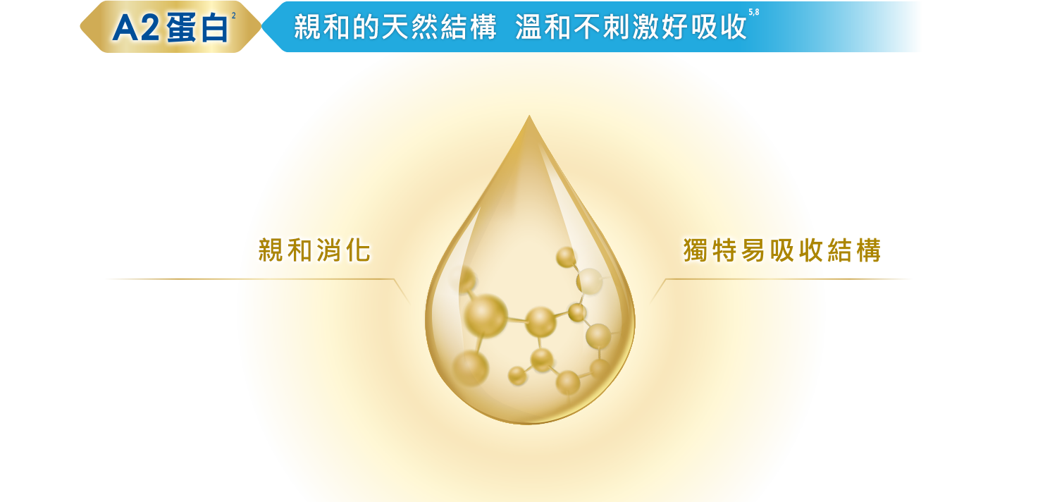 A2蛋白 貼近母乳天然結構 溫和不刺激好吸收