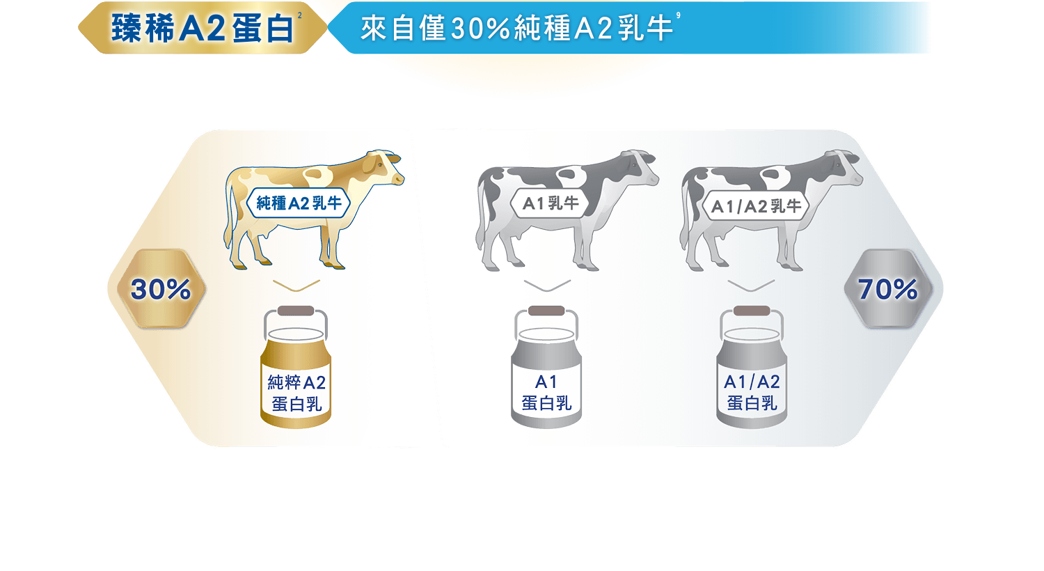 臻稀A2蛋白 來自僅30%純種A2 乳牛