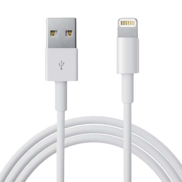 Enchufe UE 2,1A cargador USB con Lightning cable de datos para IPhone -  China Cargador de teléfono móvil y cargador precio