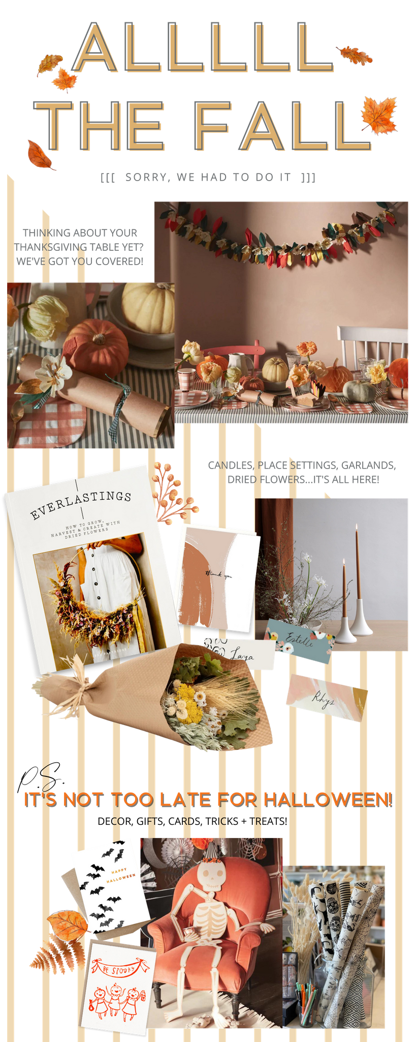 urbanic paper boutique all the fall halloween thanksgiving dried flowers crackers skeletons