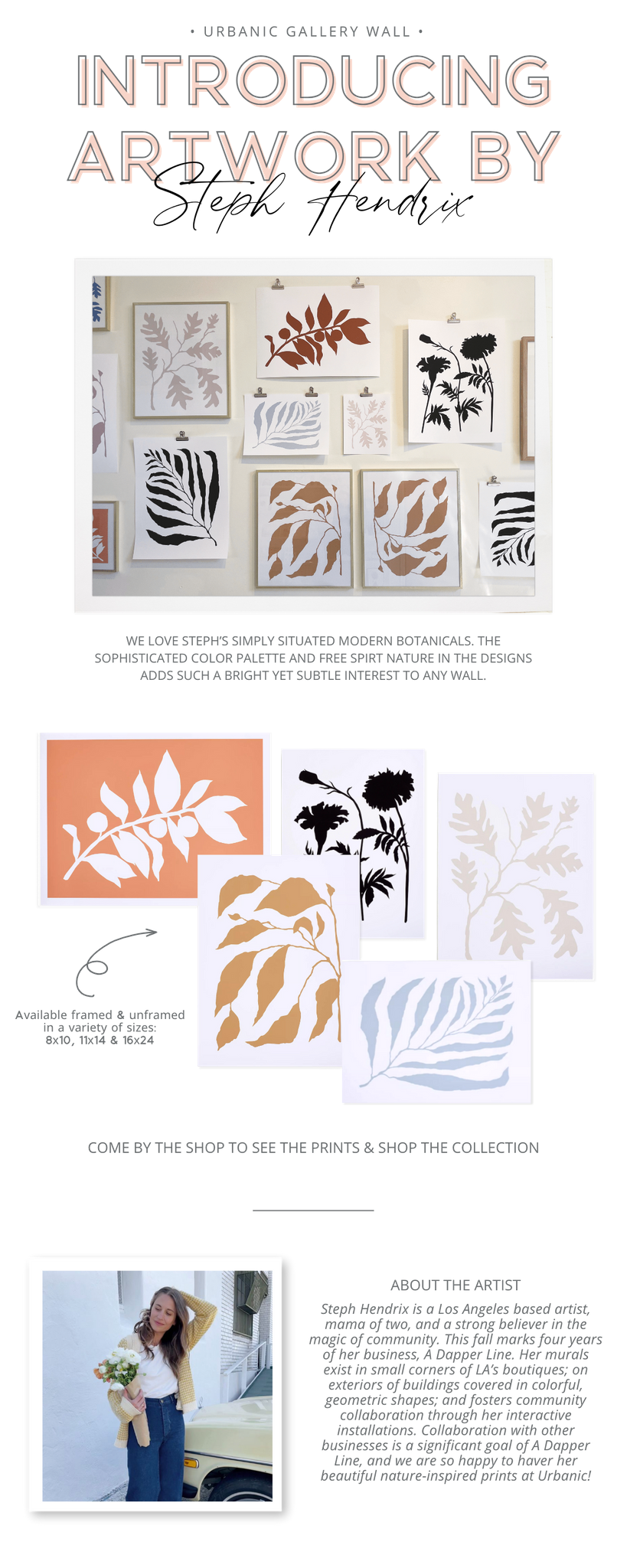 urbanic paper boutique gallery wall new artist steph hendrix artwork botanicals plants flowers minimalist