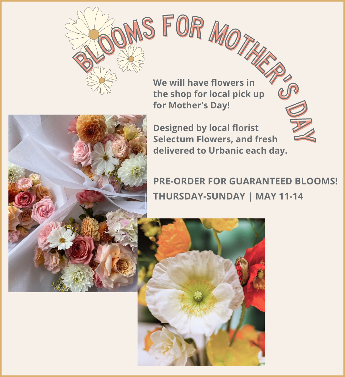 urbanic paper boutique los angeles california gifts stationery moms mothers day fresh flowers blooms bouquets