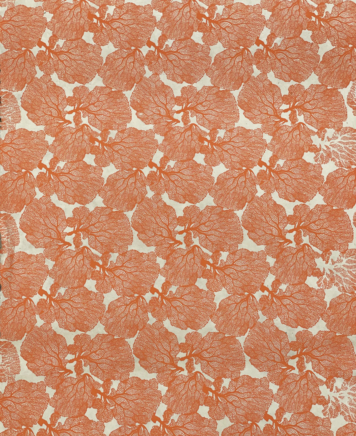 coral & cream wrapping paper