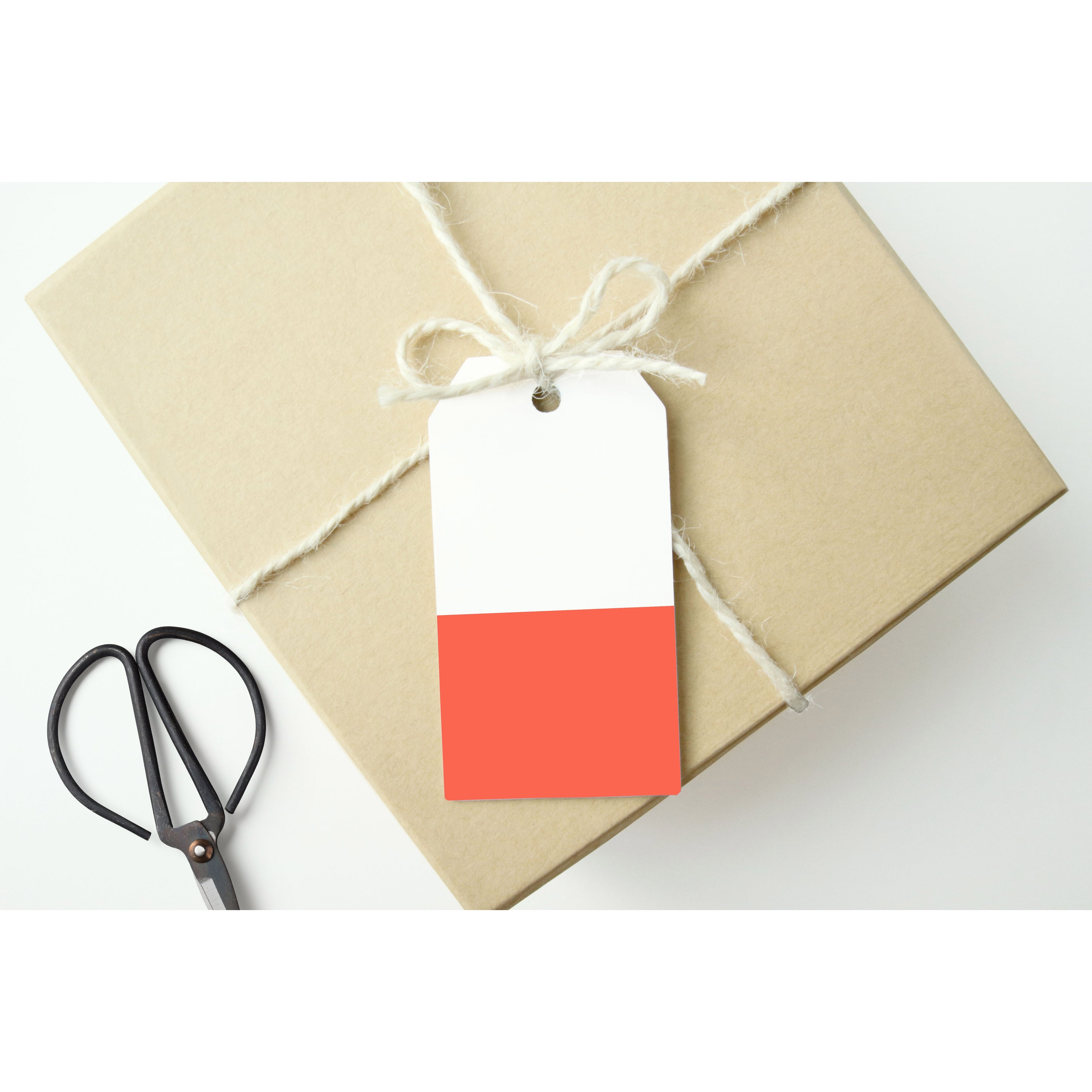 set of 10 gift tags - various colors