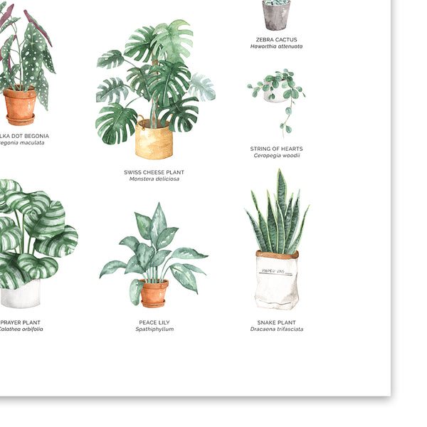 Houseplants Chart Wall Art Print – Wild Abode