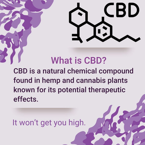 infographic explaining what is CBD