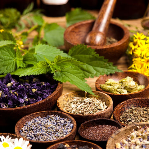 bowls of dried herbs and tea leaves