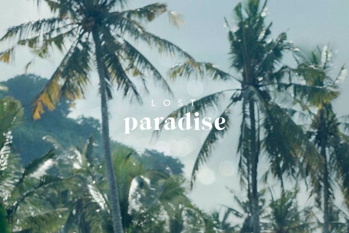 Billabong Lost Paradise Collection Lookbook
