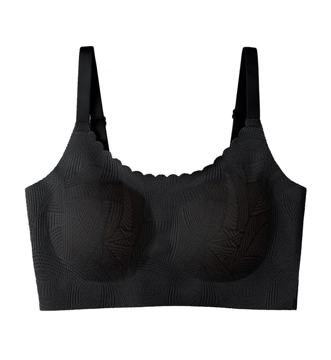 New Zero In Lace Padded Bra in Black