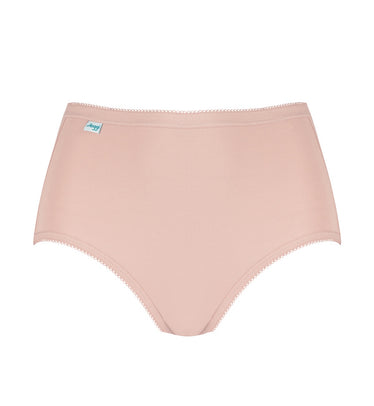 Sloggi Maxi Brief 2 Pack - Pink/Brown - Curvy