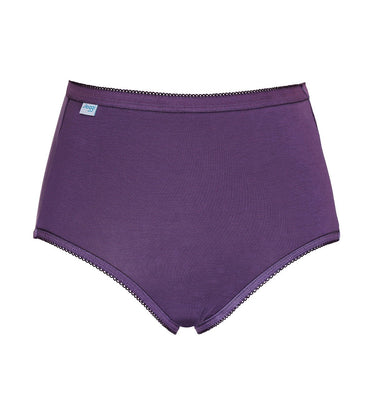 Buy Sloggi Women Go Allround One Size Seamless Fit Hipster Brief Purple  (Free Size) online