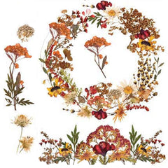 Dried Wildflowers - Small Furniture Transfer - ReDesign with Prima