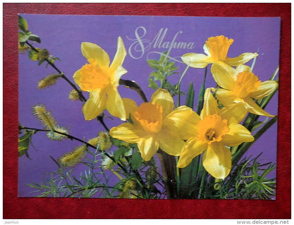 8 March Greeting Card - yellow narcissus - flowers - 1985 - Russia USSR - used - JH Postcards