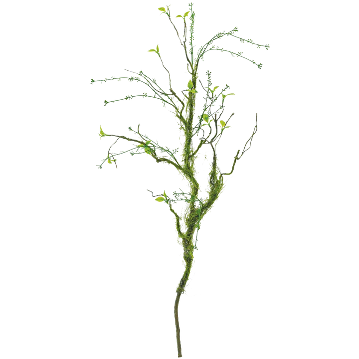 Budding Moss Branch 39”