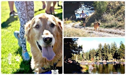 Canine Classic at The Resort at Paws Up