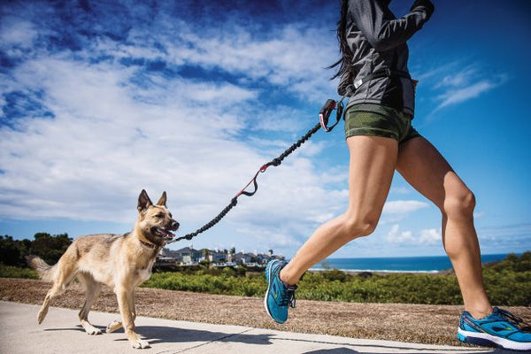 How Much Exercise Does Your Puppy Need- Puppy running