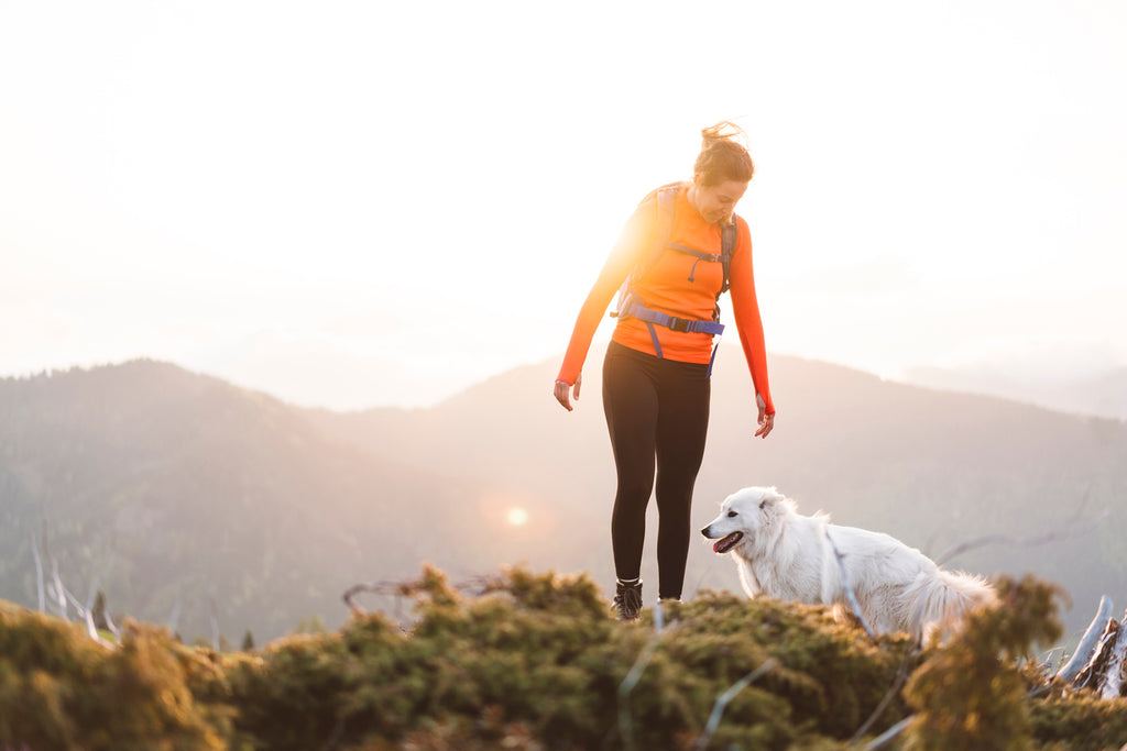 Woman enjoying a hiking trip with her white pet dog, standing on top of a summit.