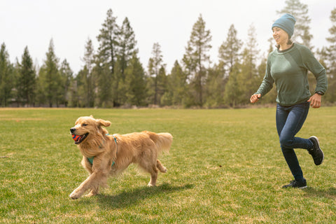 woman-playing-with-an-energetic-golden-retriever-at-a-park-aging-dog-concept