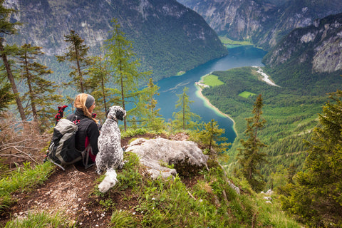 Woman enjoying the view with her pet dog during a hike - leash-friendly activities for dogs.