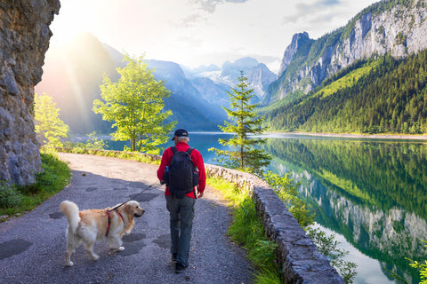 Adult man in a mountainous area walking with his dog while holding his leash loosely - teaching dogs not to jerk on a leash.