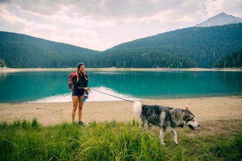 Woman enjoying a hike with her Husky on a leash - leash training for dogs