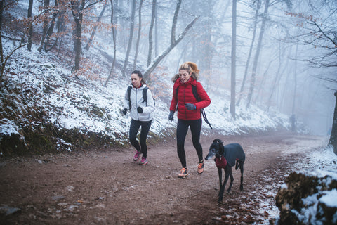 women-running-in-the-forest-with-their-dog-during-winter