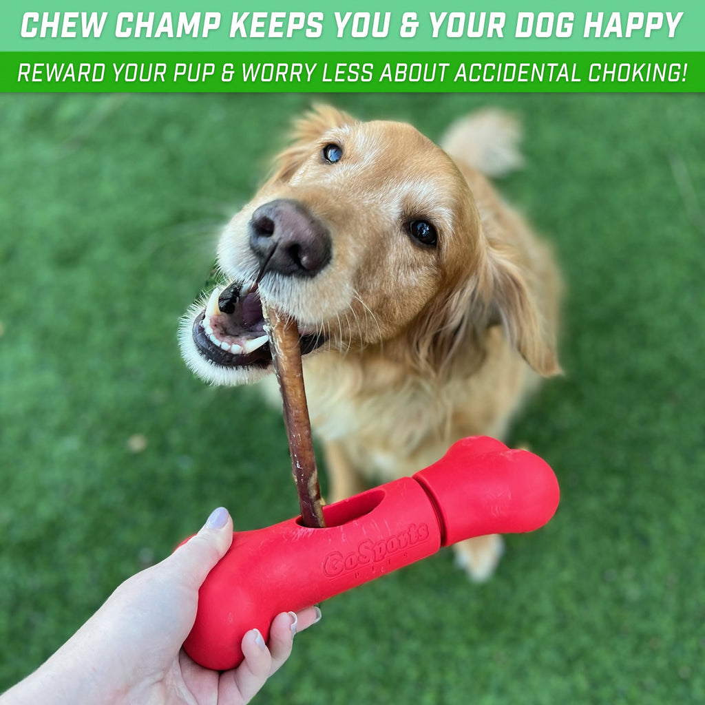 GoSports 8" Chew Champ Dog Bully Stick Holder