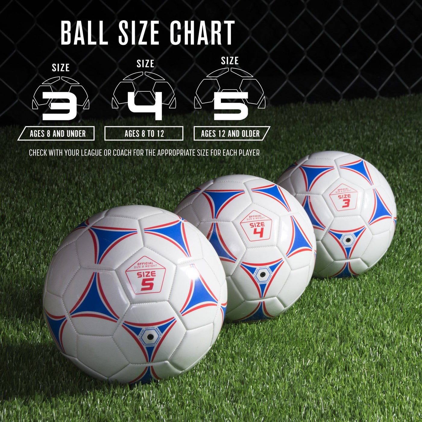 bag of soccer balls size 5