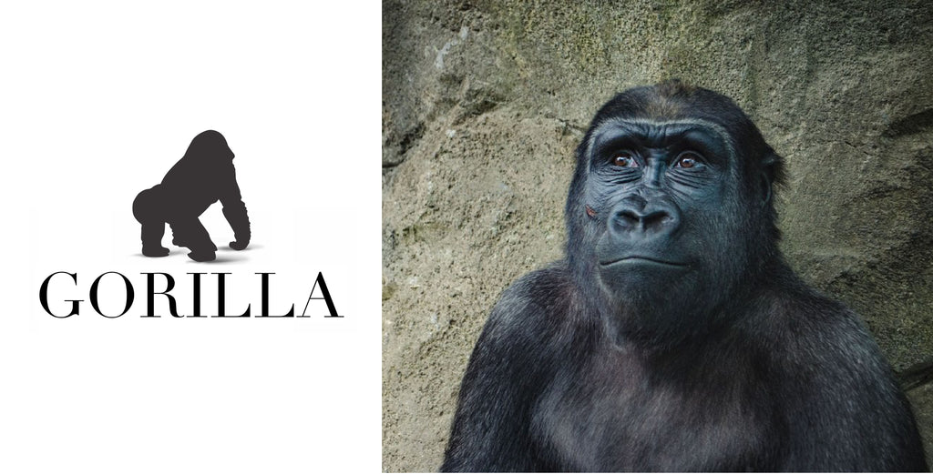 Gorilla Wines