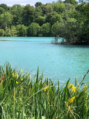 Fonthill Bishop Lake