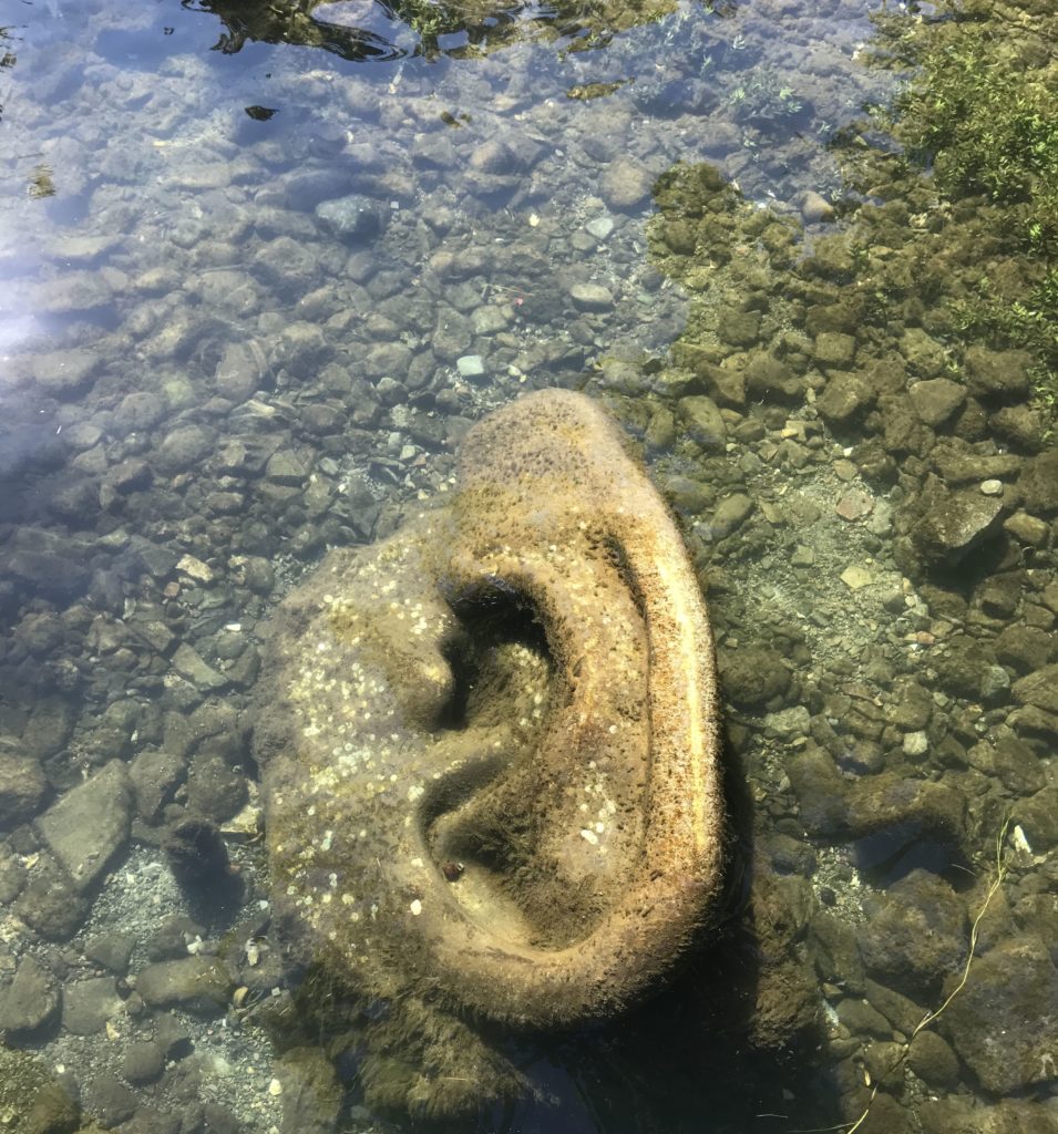 Artist humor: Van Gogh's ear uncovered in the Sorgue river!