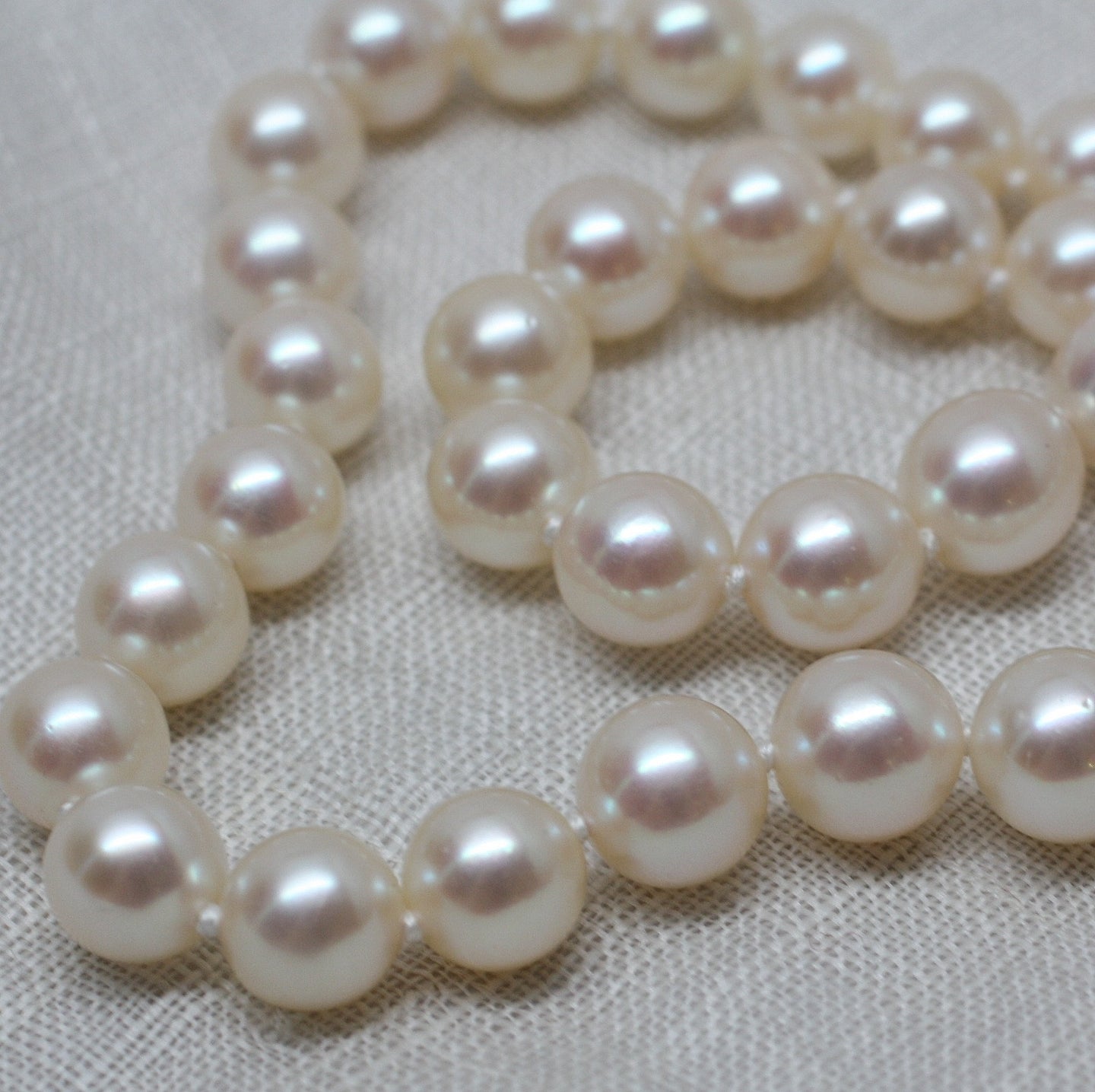Circa 1950 Pearls with Diamond Clasp – Pippin Vintage Jewelry